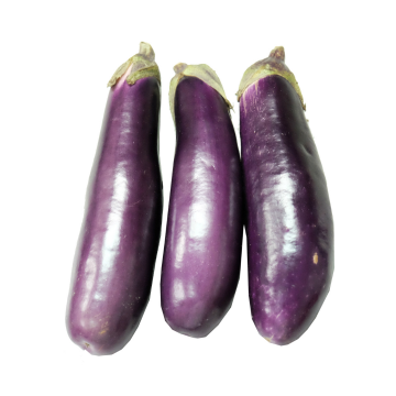 Veg - Brinjal Eggplant (Min. 500g)